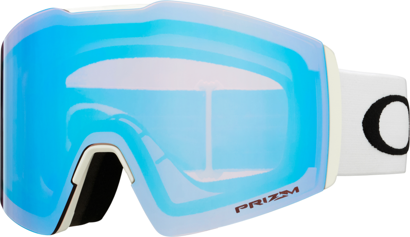Men's Fall Line L Snow Goggles