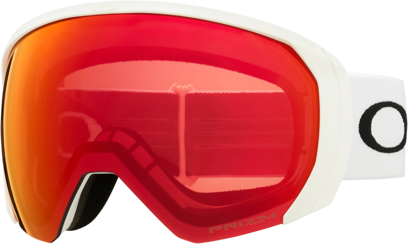 Men's Flight Path L Snow Goggles