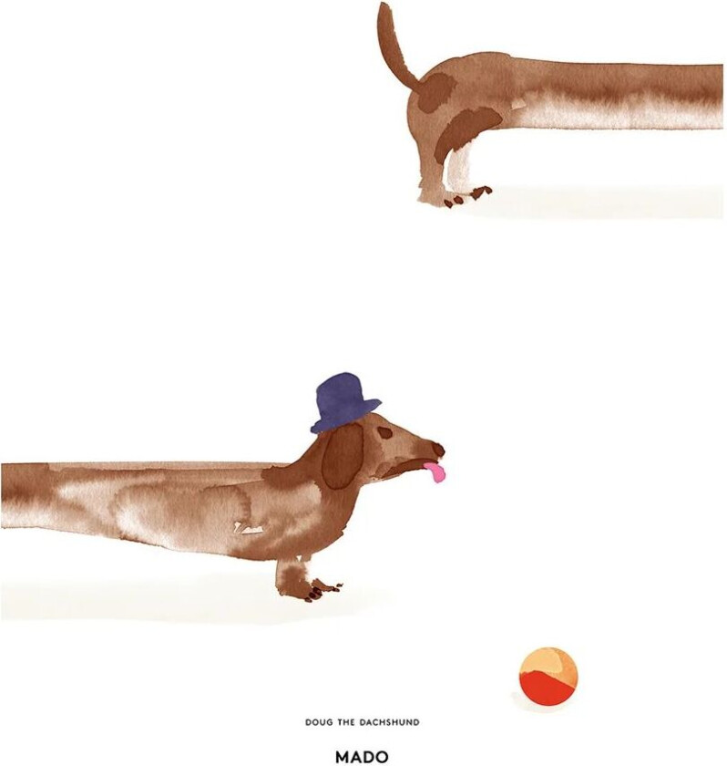 Doug the Dachshund poster 50x70 cm