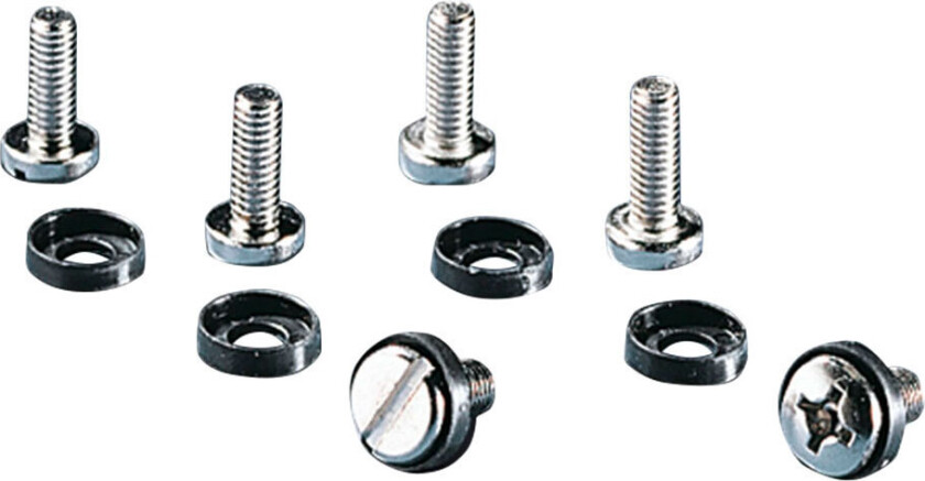 Rittal 7094100 M6 Monteringsskrue (16mm) 50pk