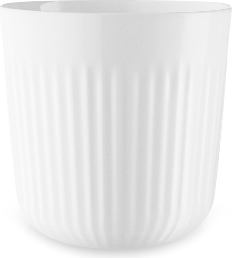 Termokrus Legio Nova 25 cl.