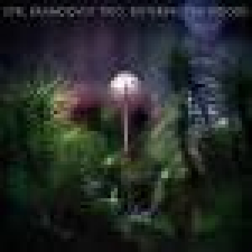 Bilde av Brandqvist Emil: Entering The Woods (Vinyl, LP)