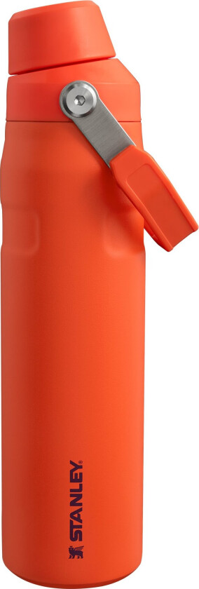 Aerolight Iceflow Bottle termoflaske 0.6 liter, tigerlily plum