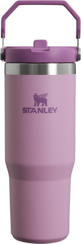 IceFlow Tumbler vannflaske 0,89 liter, lilac