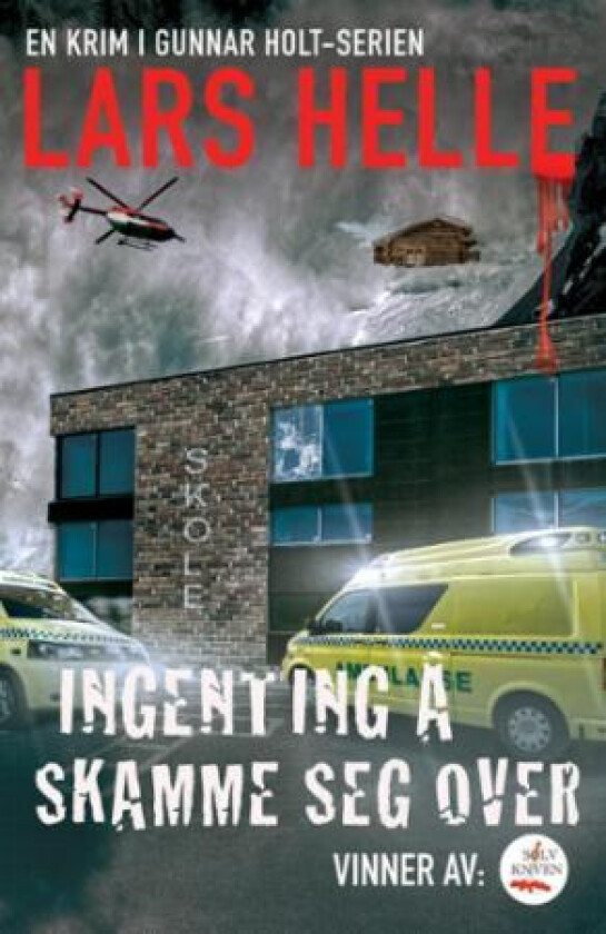 Ingenting å skamme seg over : roman