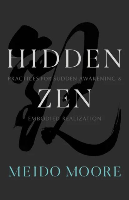 Hidden Zen av Meido Moore