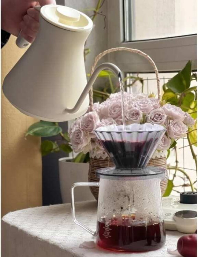 Vannkoker med temperaturregulering Gooseneck Cocinare B6 0,6L 1200W (hvit)