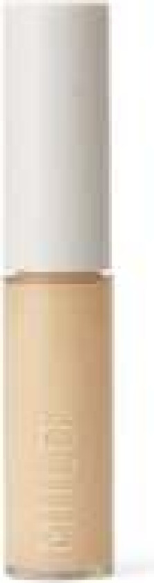 Skin Light Natural Liquid Concealer 02 Rock