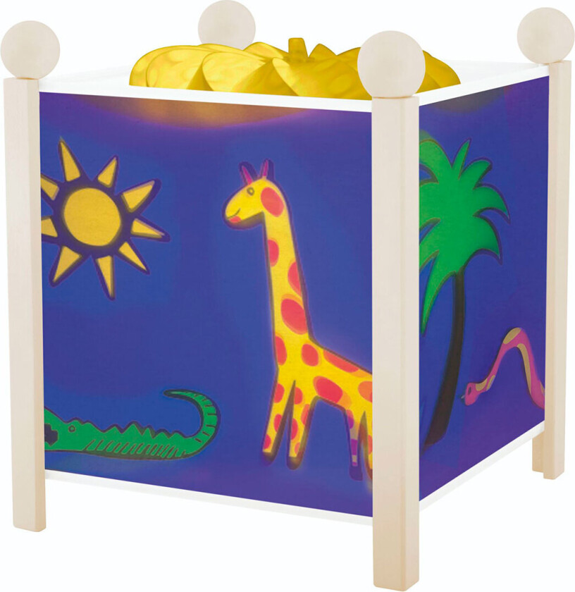 Magic Lantern Jungle (6243512)