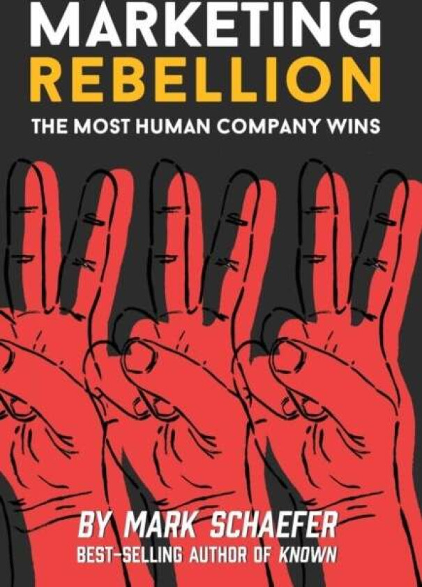 Marketing Rebellion Av Mark W Schaefer