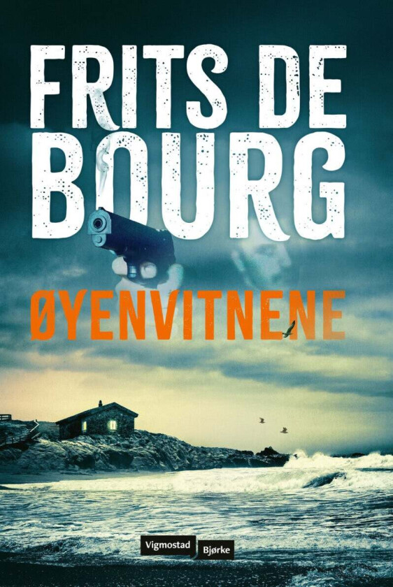Øyenvitnene Av Frits De Bourg