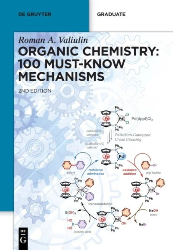 Organic Chemistry: 100 Must-Know Mechanisms av Roman Valiulin