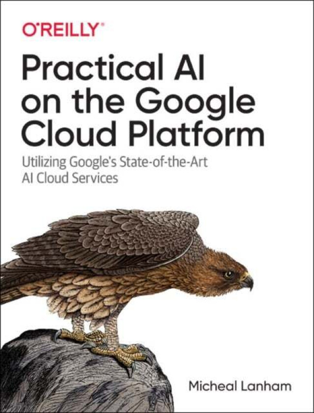 Practical Ai On The Google Cloud Platform Av Micheal Lanham