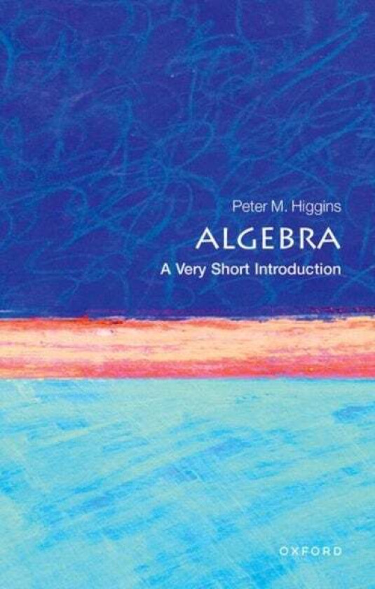 Algebra: A Very Short Introduction Av Peter M. (Professor In Pure Mathematics At The University Of Essex) Higgins
