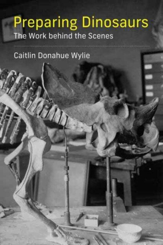 Preparing Dinosaurs Av Caitlin Donahue Wylie