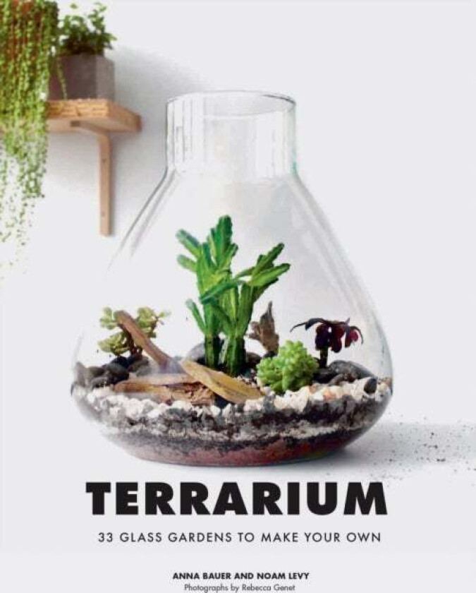 Terrarium Av Anna Bauer, Noan Levy