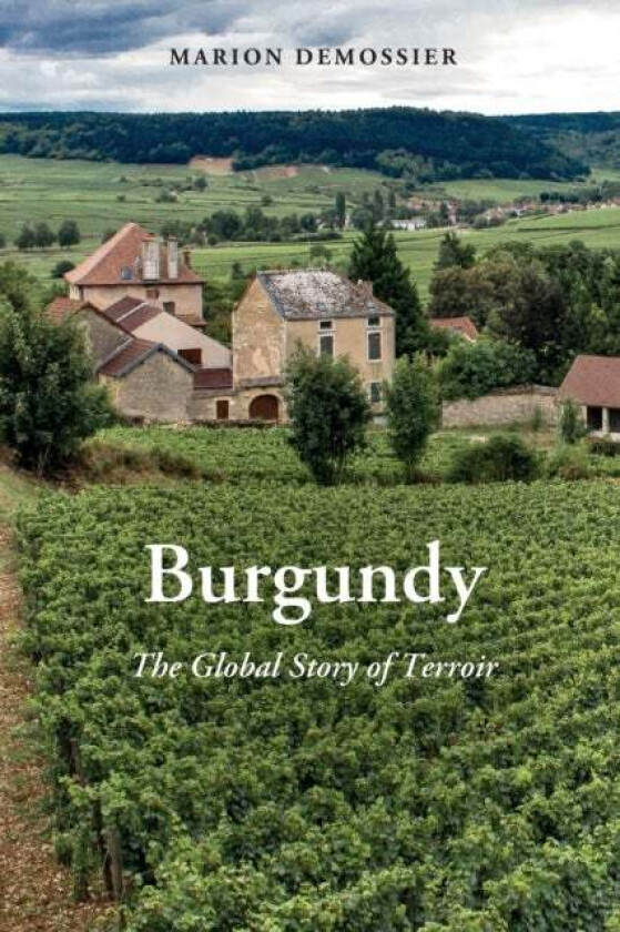 Burgundy Av Marion Demossier