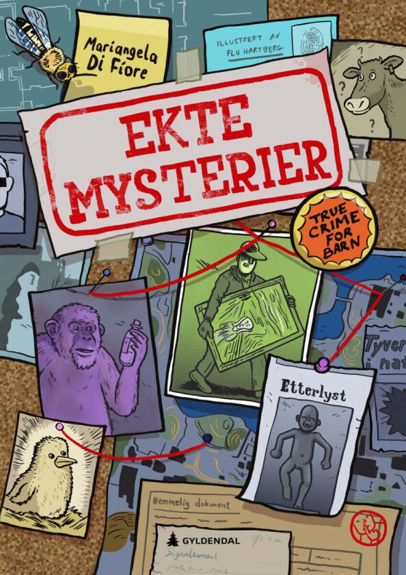 Ekte Mysterier Av Mariangela Di Fiore