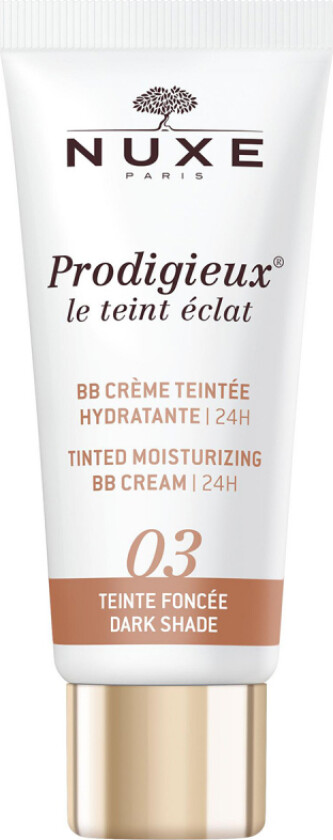 Tinted Moisturizing BB Cream 24H Dark Shade