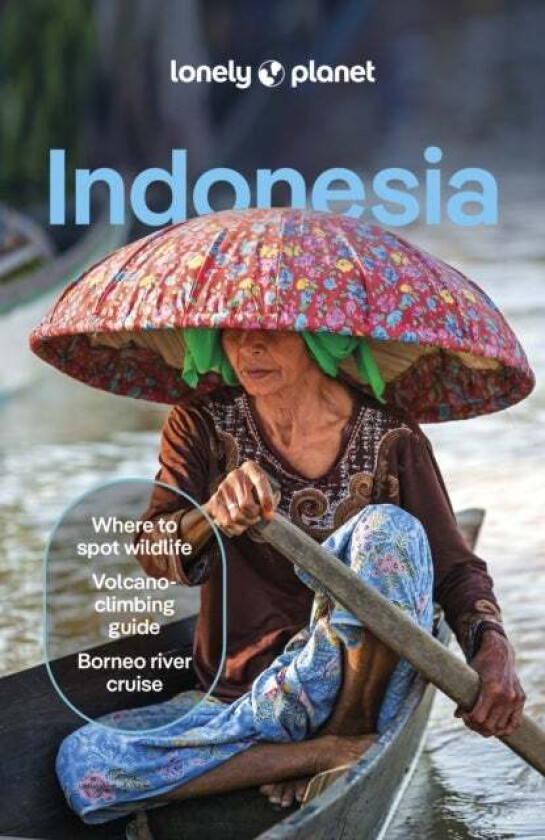 Lonely Planet Indonesia Av Lonely Planet, David Eimer, Jayne D'Arcy, Paul Harding, Mark Johanson, Jason Lee, Regis St Louis, Ryan Ver Berkmoes