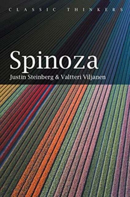 Spinoza Av Justin Steinberg