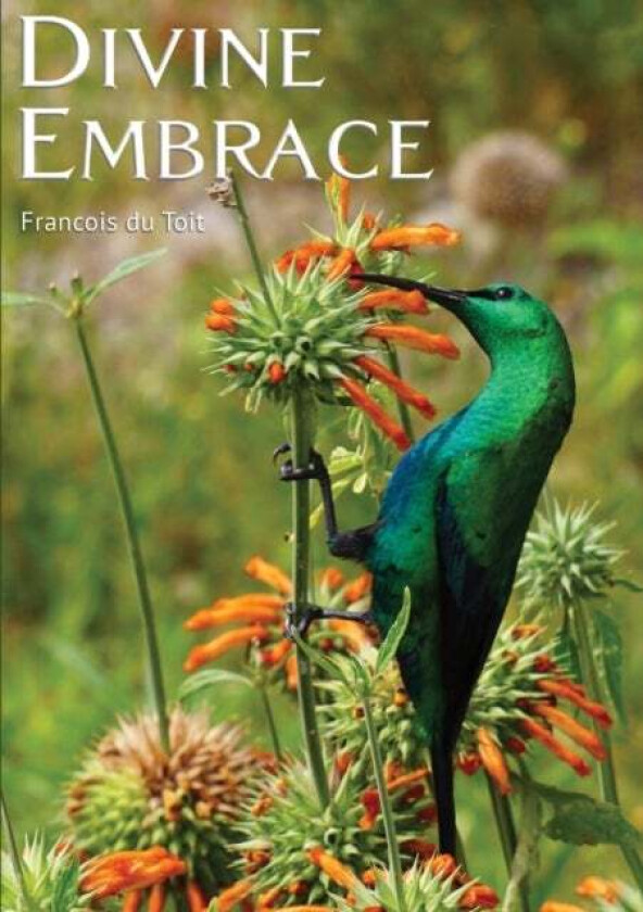 Divine Embrace Av Francois Du Toit