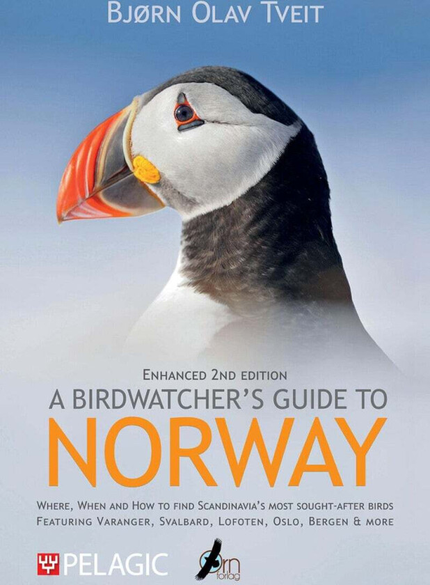 A Birdwatcher'S Guide To Norway Av Bjørn Olav Tveit