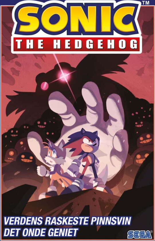 Sonic The Hedgehog Av Ian Flynn