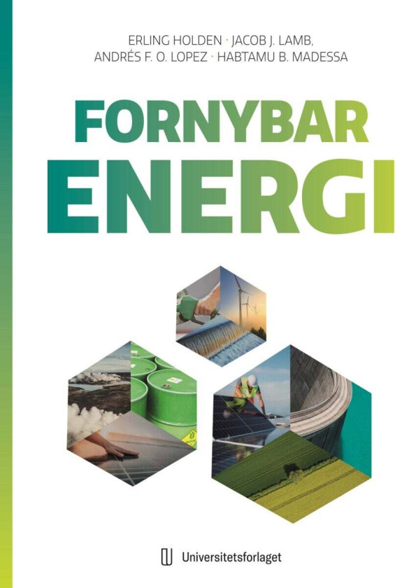 Fornybar Energi Av Erling Holden, Jacob Joseph Lamb, Habtamu Bayera Madessa, Andrés Olivares
