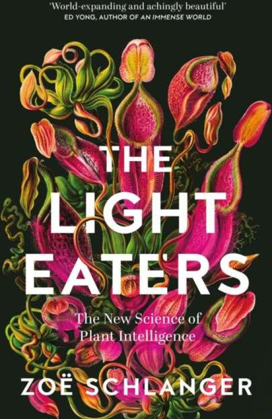 The Light Eaters Av Zoe Schlanger