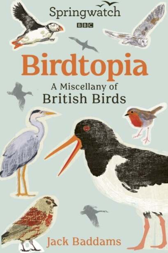 Springwatch: Birdtopia Av Jack Baddams