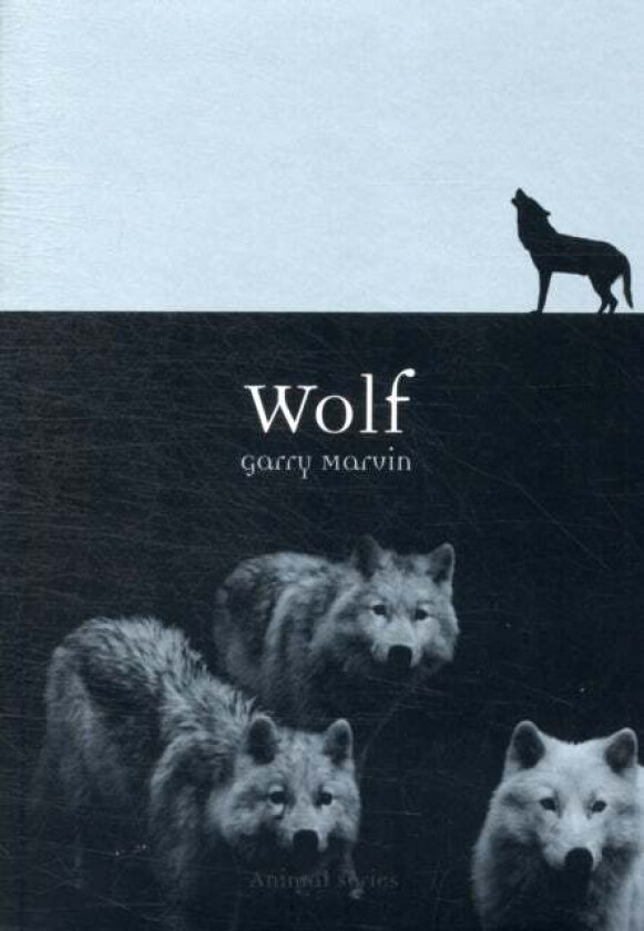 Wolf Av Garry Marvin