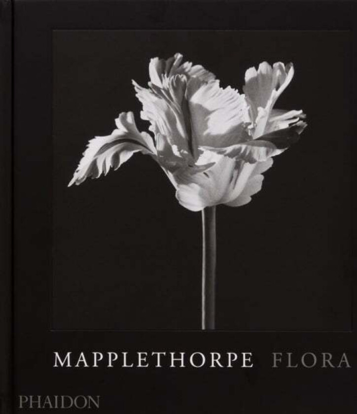 Mapplethorpe Flora