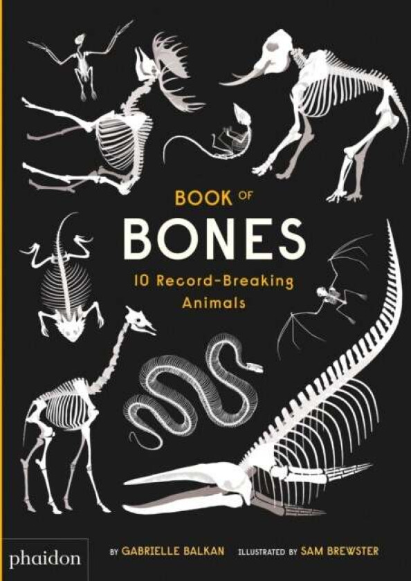 Book Of Bones Av Gabrielle Balkan