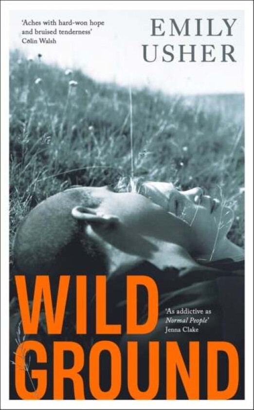 Wild Ground Av Emily Usher