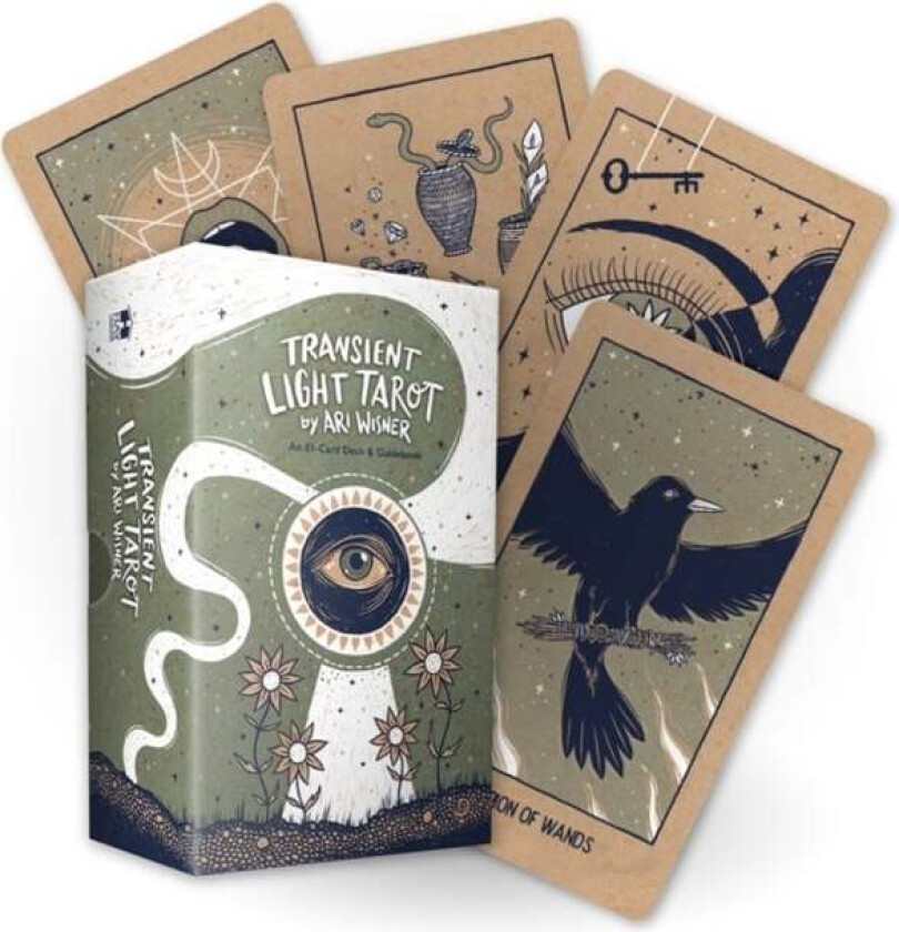 Transient Light Tarot Av Ari Wisner
