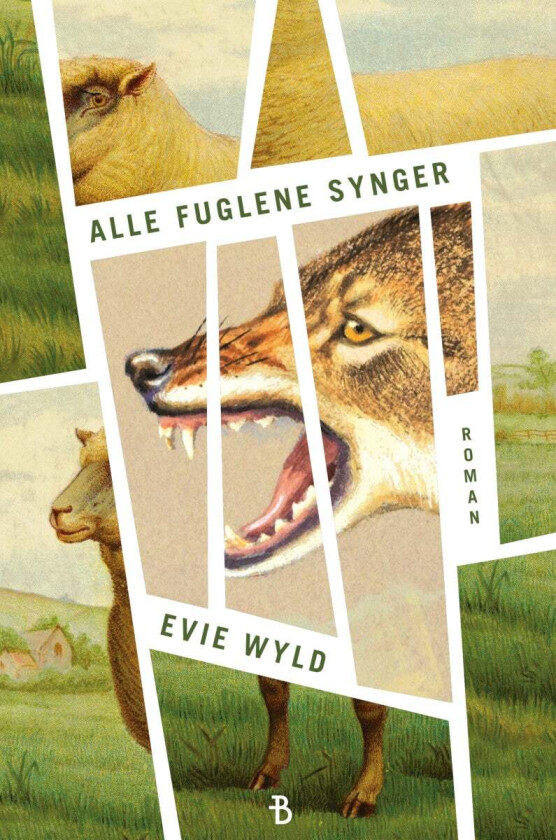 Alle Fuglene Synger Av Evie Wyld