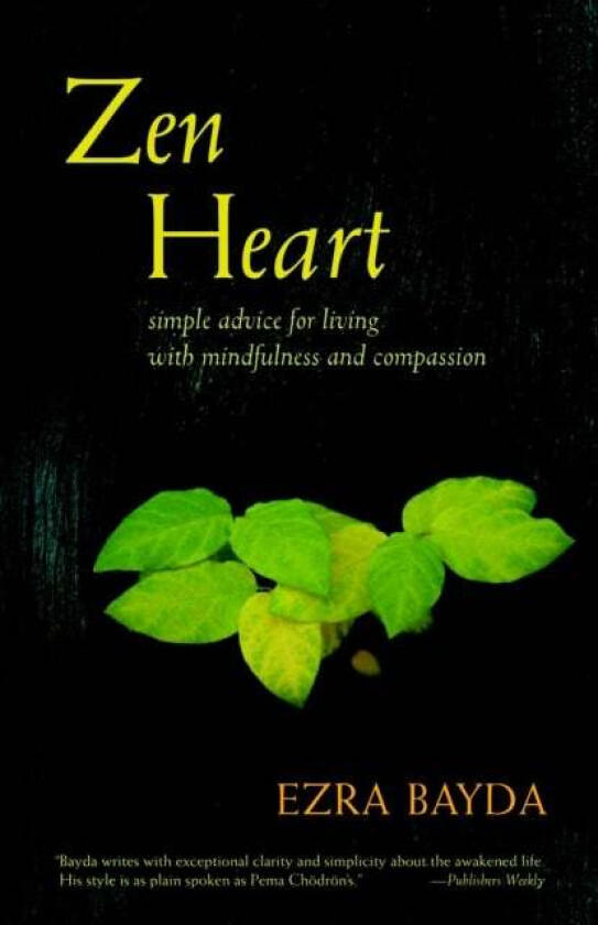 Zen Heart Av Ezra Bayda