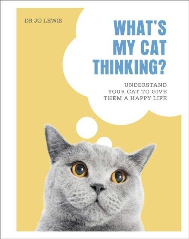 What'S My Cat Thinking? Av Dr Jo Lewis