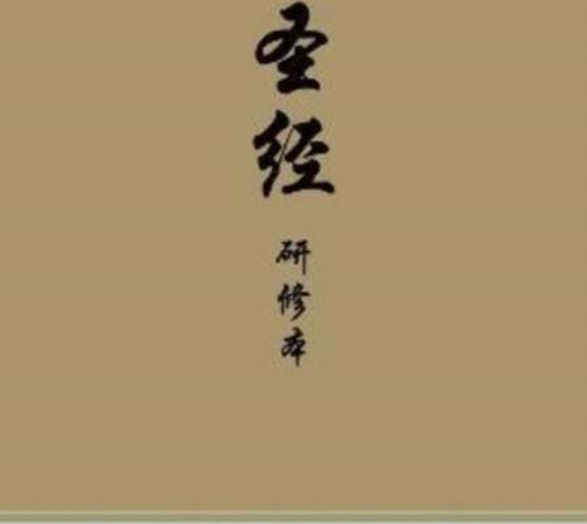 Chinese Study Bible