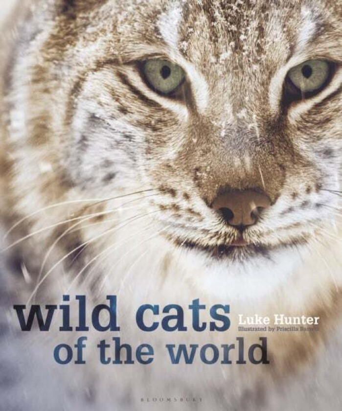 Wild Cats Of The World Av Luke Hunter