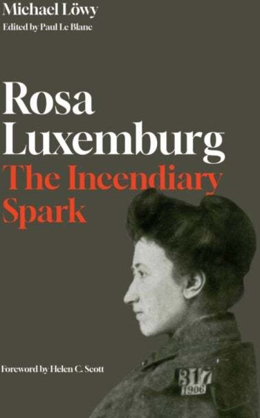 Rosa Luxemburg: The Incendiary Spark Av Michael Loewy
