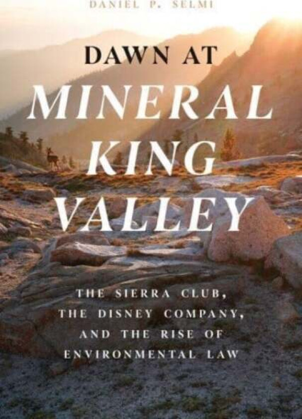 Dawn At Mineral King Valley Av Daniel P. Selmi