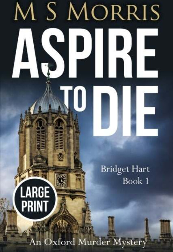 Aspire To Die (Large Print) Av M S Morris
