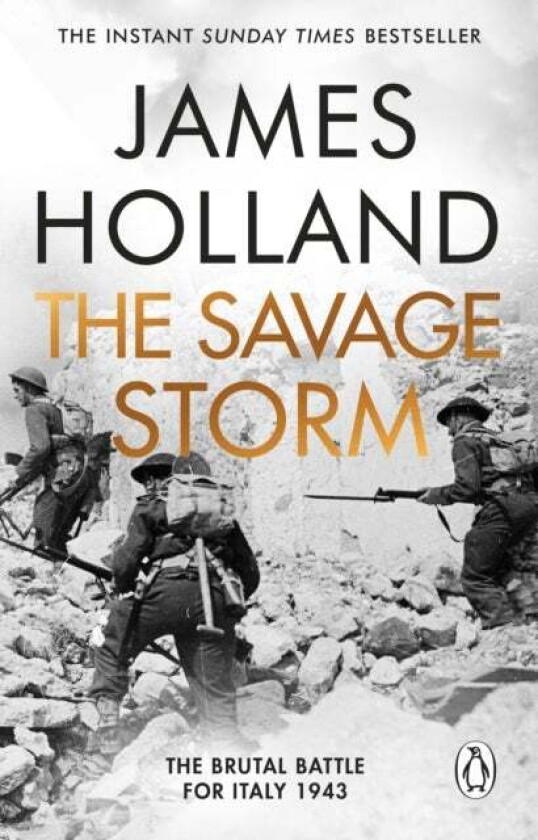 The Savage Storm Av James Holland