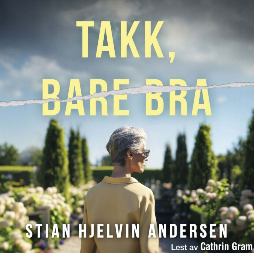 Takk, Bare Bra Av Stian Hjelvin Andersen