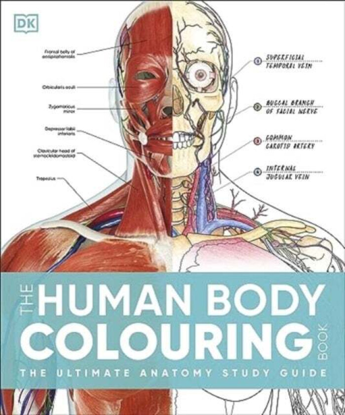 The Human Body Colouring Book Av Dk