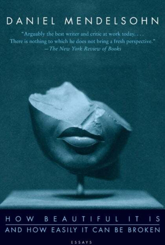 How Beautiful It Is And How Easily It Can Be Broken Av Daniel Mendelsohn