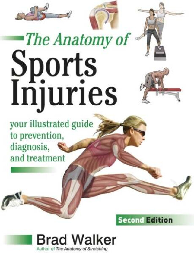 Sports Injuries Av Brad Walker
