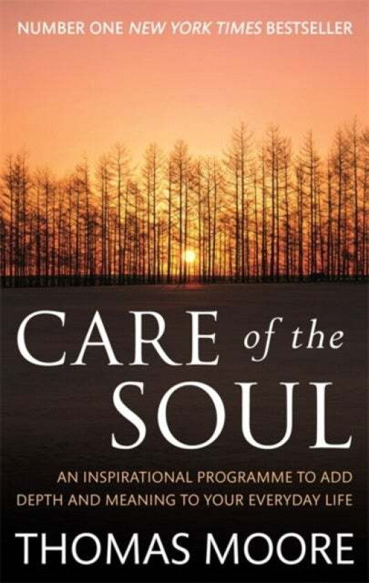 Care Of The Soul Av Thomas Moore